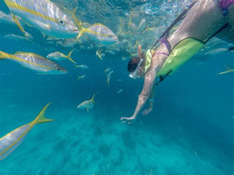 reef snorkeling key west reviews